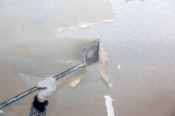 Popcorn ceiling removal